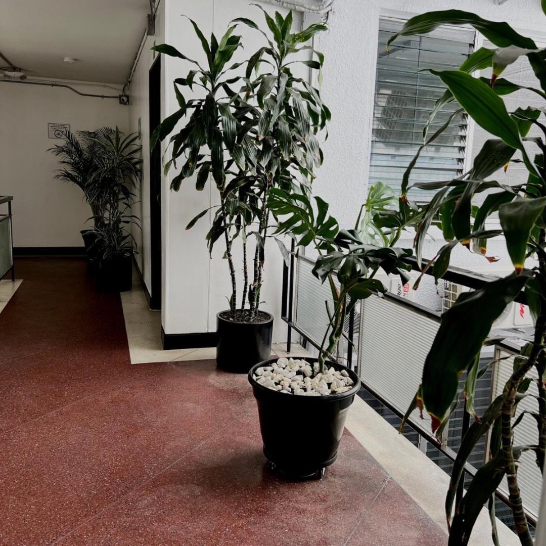 Nueva Comfort 3* Medellin
